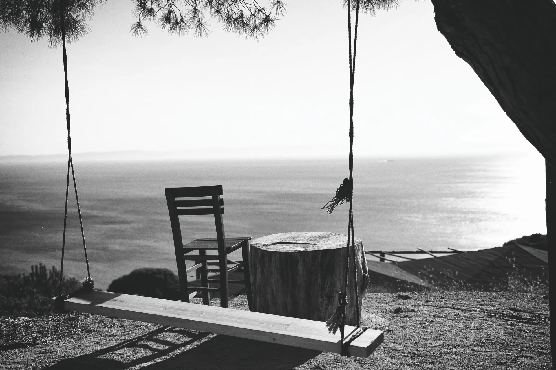 A swing and an empty chair facing the sea under a pine tree.